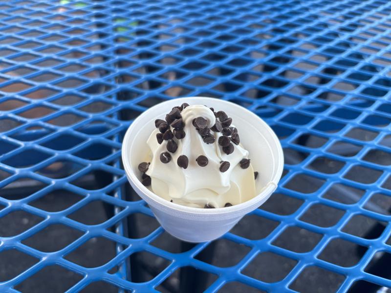 Mr Wizard's Frozen Custard and Yogurt